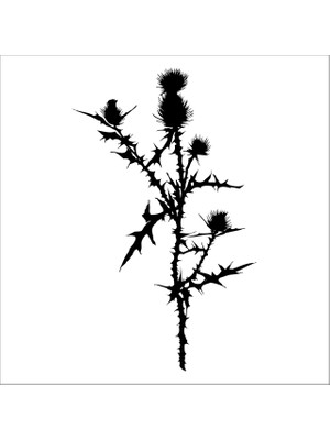 Technopa AĞAÇ VE GÜL RESİMLERİ FOLYO STİCKER - 130cm Uzunluk