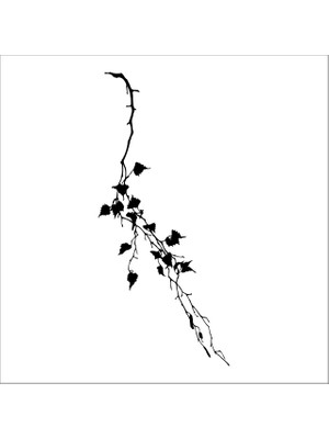 Technopa AĞAÇ VE GÜL RESİMLERİ FOLYO STİCKER - 200cm Uzunluk