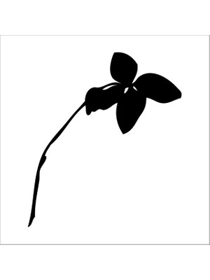 Technopa AĞAÇ VE GÜL RESİMLERİ FOLYO STİCKER - 100cm Uzunluk