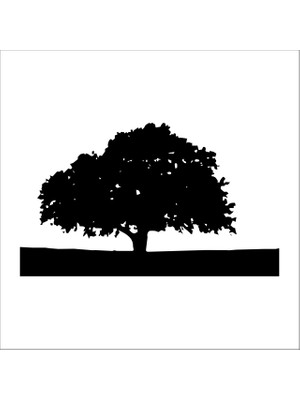 Technopa AĞAÇ VE GÜL RESİMLERİ FOLYO STİCKER - 30cm Uzunluk