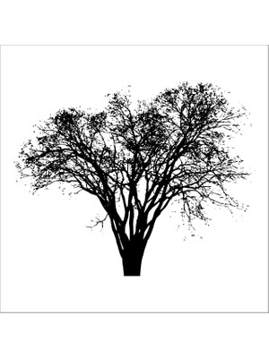 Technopa AĞAÇ VE GÜL RESİMLERİ FOLYO STİCKER DERSTV238 - 160cm Uzunluk