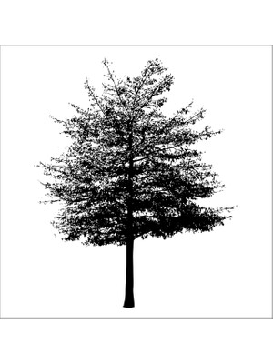 Technopa AĞAÇ VE GÜL RESİMLERİ FOLYO STİCKER - 130cm Uzunluk