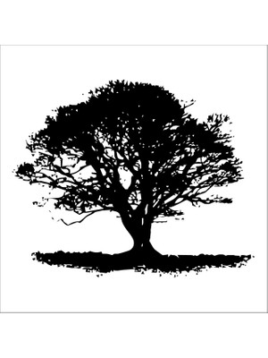 Technopa AĞAÇ VE GÜL RESİMLERİ FOLYO STİCKER DERSTV235 - 200cm Uzunluk