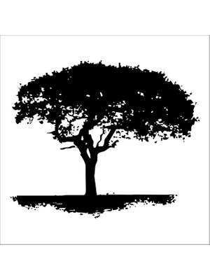 Technopa AĞAÇ VE GÜL RESİMLERİ FOLYO STİCKER DERSTV230 - 200cm Uzunluk