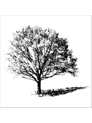 Technopa AĞAÇ VE GÜL RESİMLERİ FOLYO STİCKER DERSTV225 - 200cm Uzunluk