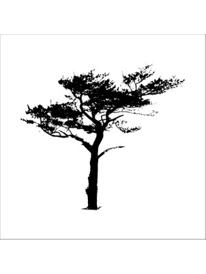 Technopa AĞAÇ VE GÜL RESİMLERİ FOLYO STİCKER - 160cm Uzunluk