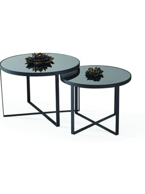 Levent Mobilya ve Aksesuar Ezel Orta Sehpa