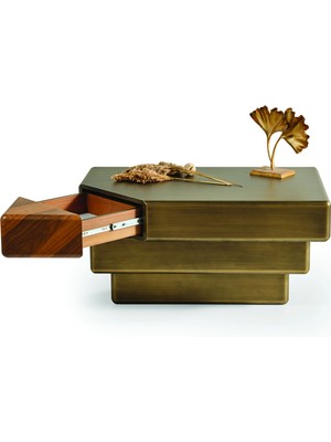 Levent Mobilya ve Aksesuar Quantum Orta Sehpa