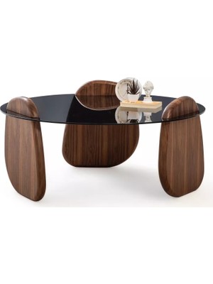 Levent Mobilya ve Aksesuar Marki Orta Sehpa Ceviz