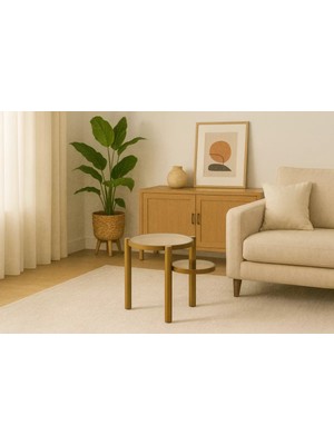 Levent Mobilya ve Aksesuar Areon Orta Sehpa