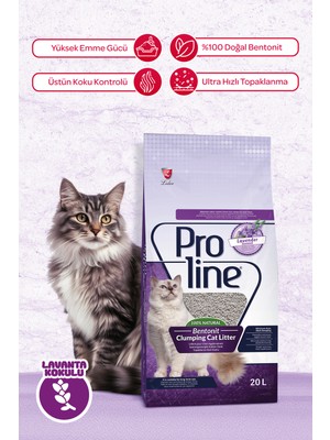 Proline 20 lt Lavanta Kokulu Bentonit Topaklanan Kedi Kumu Ultra Hızlı Topaklanma Özelliği