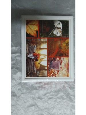 Es Dekor Beyaz Kedi Beyaz Kenarlı Minderli Desenli Keyif Tepsisi Kahvaltı Tepsi