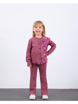 Aden Kız Çocuk Tül Gül Aplikeli Triko Hırka Ikili Takım