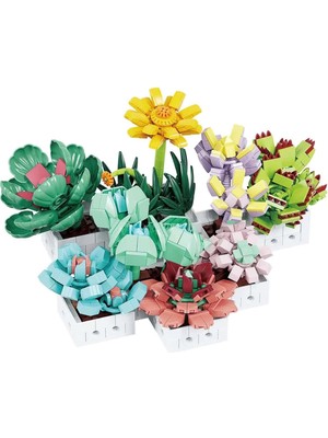 Renklime Blx Sukulent Çiçek Buketi 8842