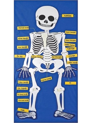 Renklime AND-9150 Iskelet Cırtlı Pano