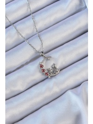 Datatek 316L Çelik Zincir Gümüş Renk Kırmızı Gül Detay Kedi Figür Zirkon Taşlı Ay Kolye