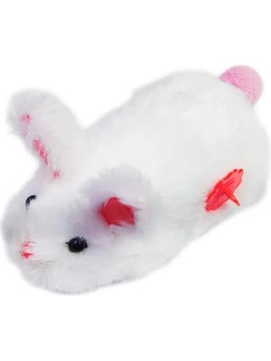 Renklime Kurmalı Tavşan Oyuncak