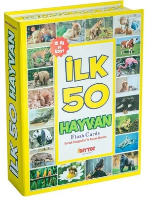 Renklime 1352 Flash Cards Ilk 50 Hayvan
