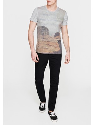 Mavi Erkek West Baskılı Gri Tişört 065255-28386