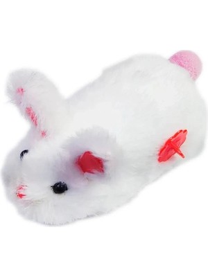 Renklime Kurmalı Tavşan Oyuncak