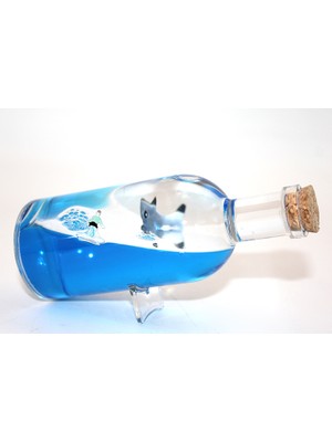 Zenvia Şişe Içinde Batmayan Gemi Model 2  ZNV-TTT3245