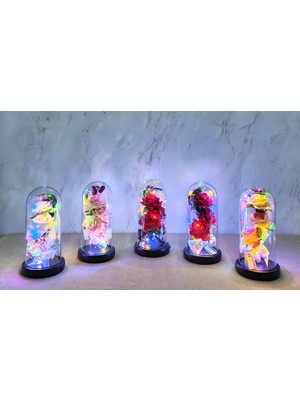 Zenvia Işıklı Müzikli Cam Fanus Içinde Romantik Gül   ZNV-TTT3245