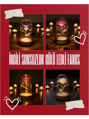 Zenvia Incili Sonsuzluk Gülü Ledli Fanus  ZNV-TTT3245