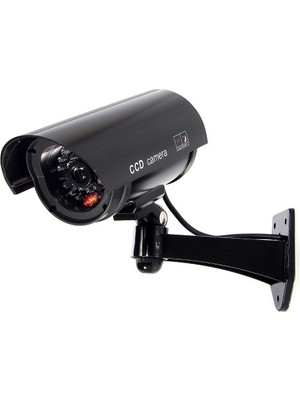 Zenvia Caydırıcı Güvenlik Kamerası ZNV-TTT3245