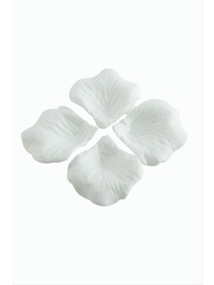 Zenvia Gül 100 Adet ZNVBJTR-23577