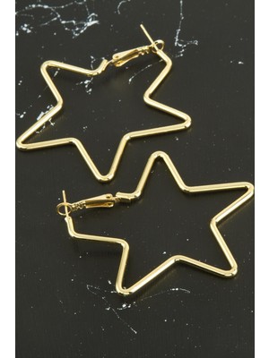 Zenvia Yıldız Yeni Sezon Metal Küpe ZNVBJTR-23577