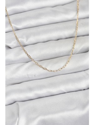 Zenvia cm 14K Gold Renk Ataç Zincir Model 60 cm Kadın Kolye ZNV-EBJT4377