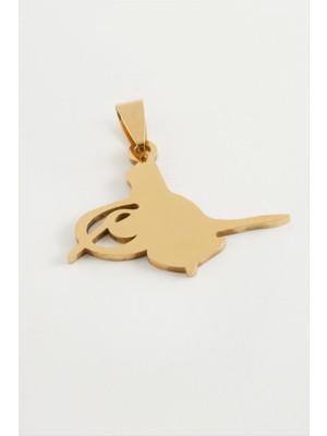 Zenvia Tuğra Çelik Kolye Ucu 3 cm ZNVBJTR-23577