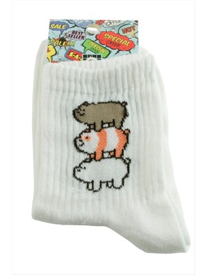 Zenvia Köpek Kolej Çorap 8*28 ZNVBJTR-23577