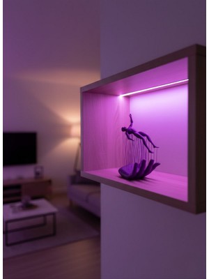 Zero Land Storozde El Insan Figürü Mor