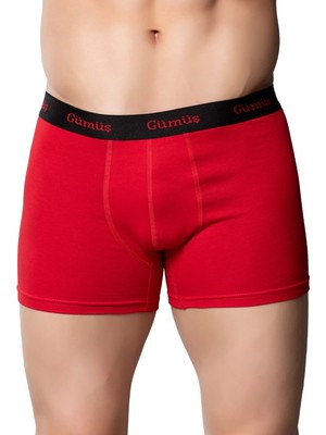 Gümüş 3074 6'lı Erkek Likralı Spor Boxer