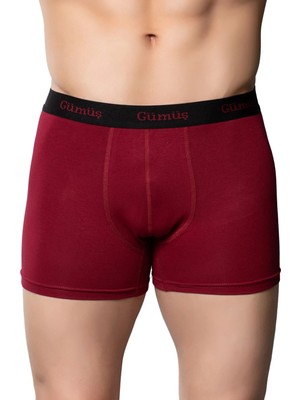 Gümüş 3074 6'lı Erkek Likralı Spor Boxer