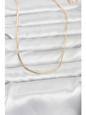 Erbilden Erb cm 14K Gold Renk Yassı Zincir Model 60 cm Kadın Kolye