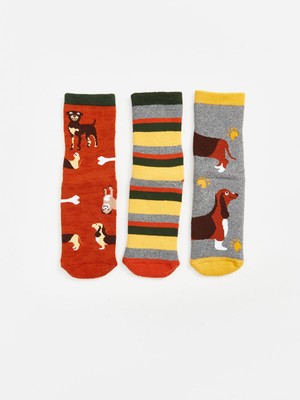 Lc Waikiki Yeni Sezon Desenli Erkek Çocuk Havlu Soket Çorap 3'lü