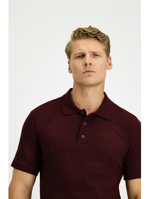 Kiğılı Slim Fit Dar Kesim Pamuk Polo Yaka Tişört