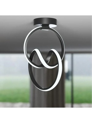 Emily Siyah Tekli Plafonyer LED Beyaz Ultra Ledli Salon Mutfak Oda Hol Ledli Avize Siyah