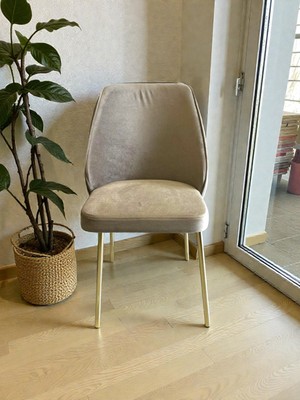 Nova White Gold Yönsüz Kumaş Modern ve Şık Sandalye Takım