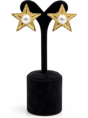 Pangu Inci Detaylı Yıldız Formlu Altın Renk Çelik Küpe