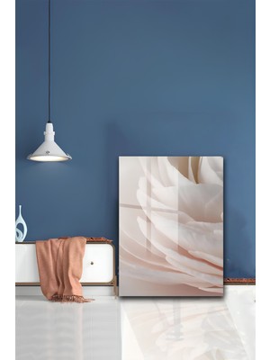KutuTR Soft Pudra ve Krem Tonlarında Makro Çiçek Yaprağı Temperli Cam Tablo 50X70 cm 2d Uv Baskı - YCT189