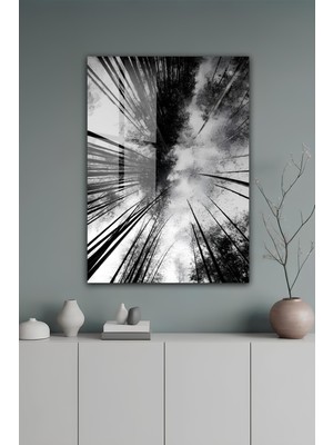 KutuTR Bambu Ormanı Gökyüzü Manzaralı Temperli Cam Tablo 50X70 cm 2d Uv Baskı - YCT115