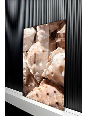 KutuTR Modern Gerçekçi Deniz Kabuğu Desenli Temperli Cam Tablo 50X70 cm 2d Uv Baskı - YCT179