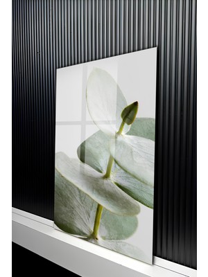 KutuTR Modern Minimalist Okaliptüs Yaprağı Tasarımlı Temperli Cam Tablo 50X70 cm 2d Uv Baskı - YCT300