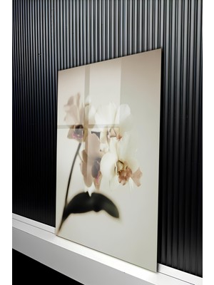 KutuTR Minimalist Soft Tonlu Beyaz Orkide Tasarımlı Temperli Cam Tablo 50X70 cm 2d Uv Baskı - YCT297