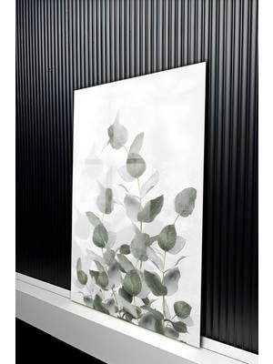KutuTR Soft Beyaz Zemin Üzeri Okaliptüs Yaprağı Desenli Temperli Cam Tablo 50X70 cm 2d Uv Baskı - YCT232