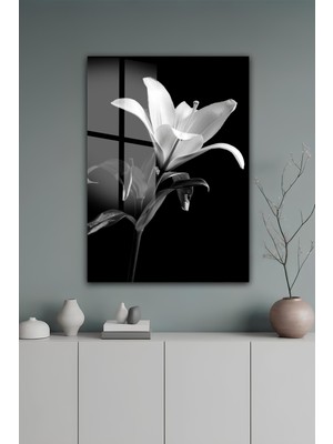 KutuTR Siyah Arka Plan Üzerine Beyaz Zambak Çiçeği Temalı Temperli Cam Tablo 50X70 cm 2d Uv Baskı - YCT127