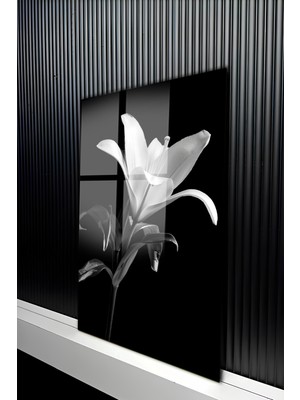 KutuTR Siyah Arka Planlı Beyaz Zambak Tasarımlı Temperli Cam Tablo 50X70 cm 2d Uv Baskı - YCT269